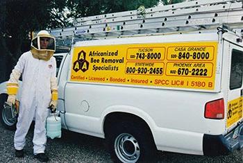 Green Valley bee removal service truck and employee